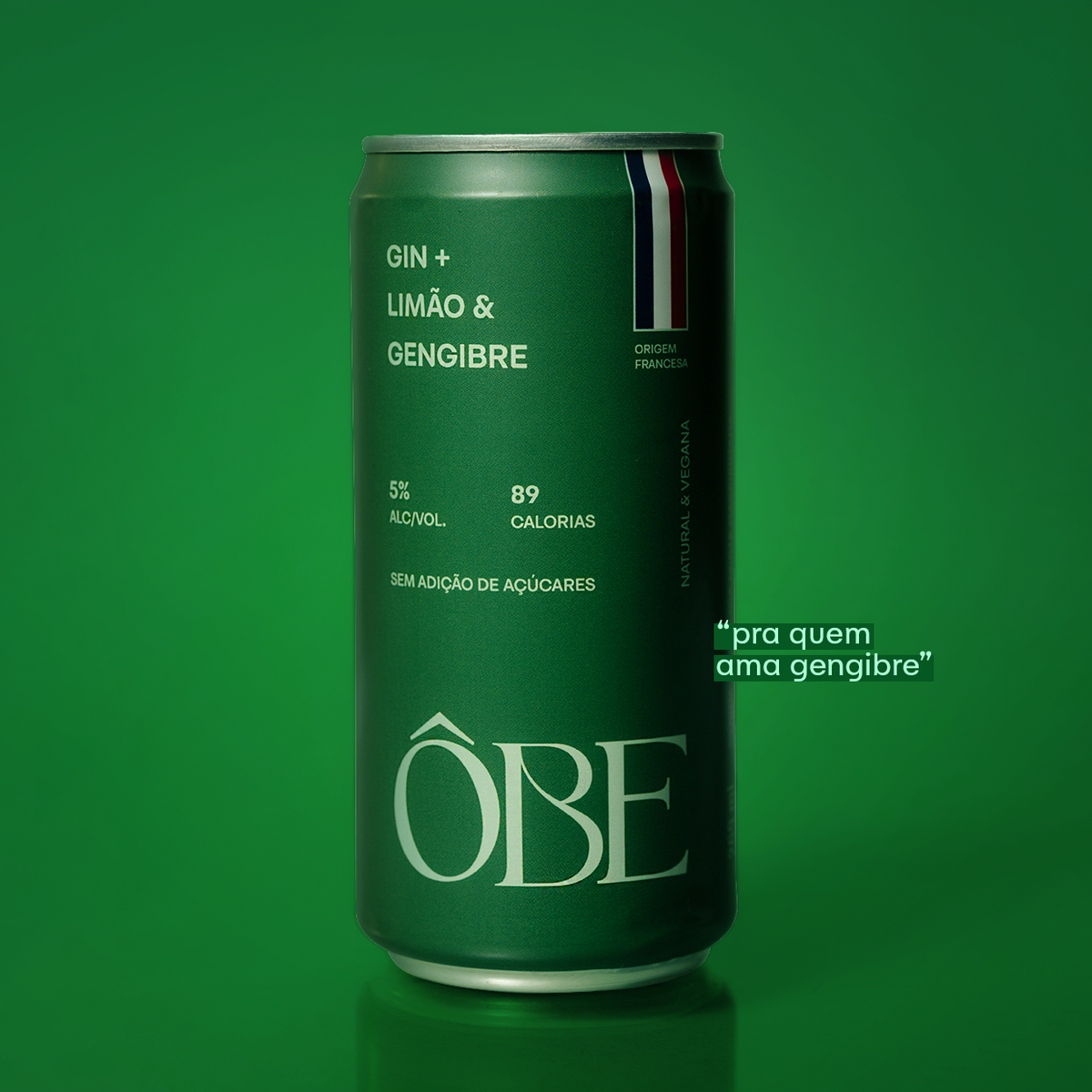 Pack Ôbe - drink 269ml (6 un)